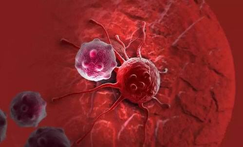 【Science子刊】如何更有效地治疗非小细胞肺癌？麻省理工学院的科学家发现一种方法能为患者带来希望！