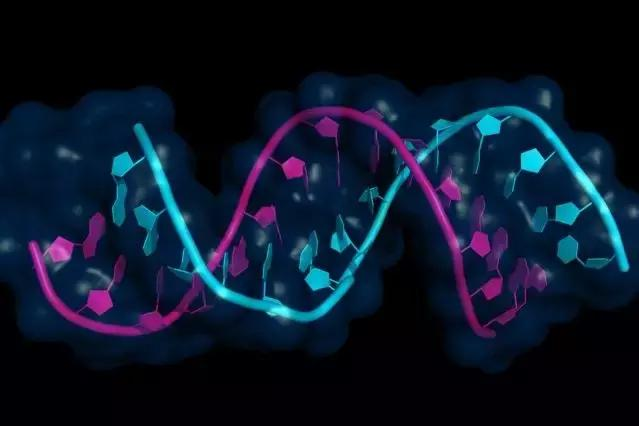 【Science】RNA药物的时代到来了，前途无量！很快可能就会给更罕见的遗传疾病患者带来福音