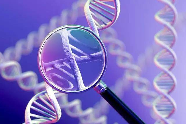 【NCRI2021】会议报告了助力患癌儿童逃出癌症“魔爪”的全基因组测序，可以给出更精确的诊断和最适合的治疗方案