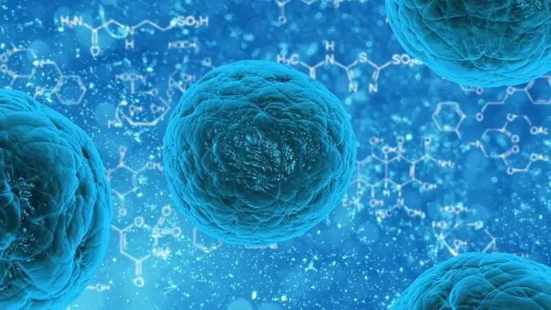 【Science子刊】干细胞越大就越好吗？