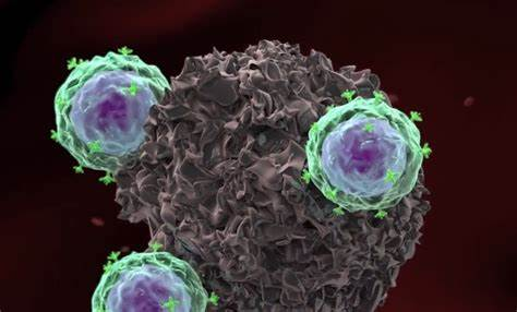 【AACR子刊】突破！TCR转基因T细胞疗法有望为恶性脑肿瘤患者带来福音