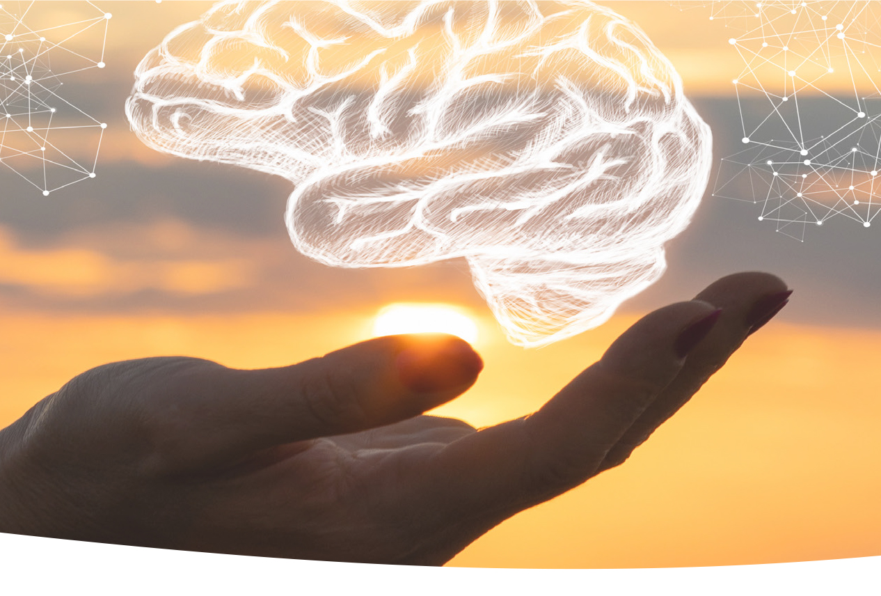 【PNAS】探索大脑“事件”——你知道大脑里发生了什么吗？