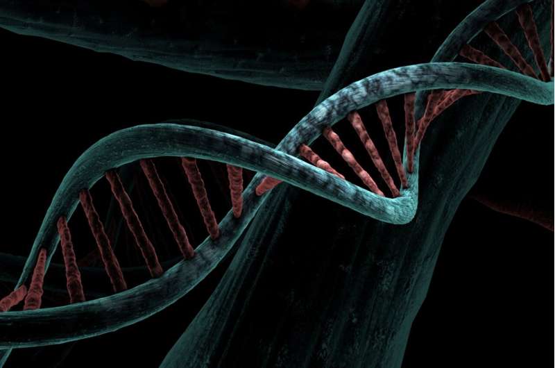 【Cell】从根源开始研究基因变异——“抽奖”一样的规则