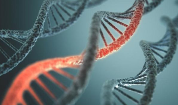 【Nature子刊】人类遗传学视角看——基因变异如何影响我们的免疫细胞，造成COVID-19严重程度不同