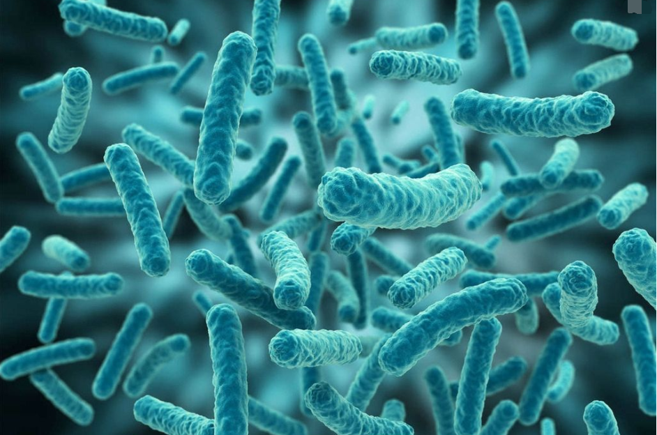 【Gut Microbes】“癌症之王”胰腺癌为何如此难治，原来抗癌药都被细菌偷偷吃了！