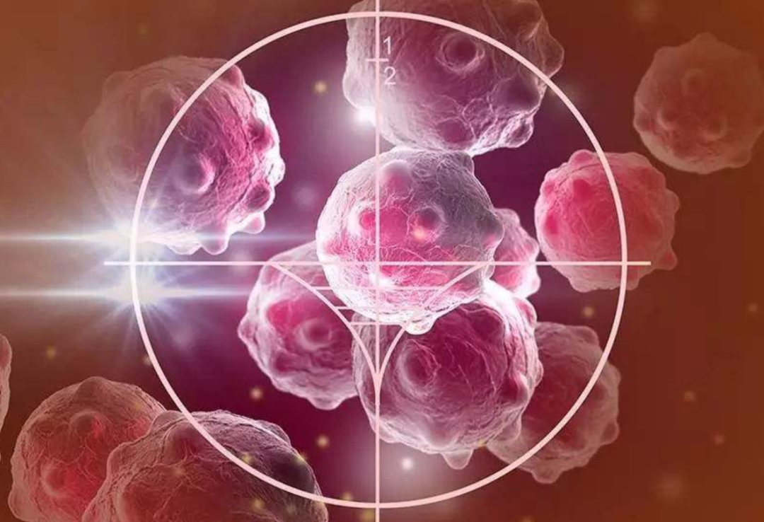 【Nature】突破ALK治疗瓶颈，这种分子的独特结构带来癌症治疗的新靶点！