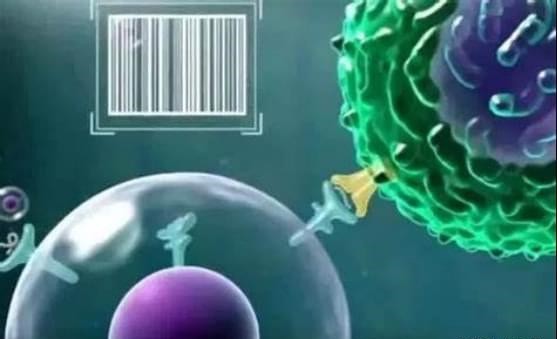 【Cell】华人科学家及其团队创建条形码，快速破译癌细胞之间的“聊天”