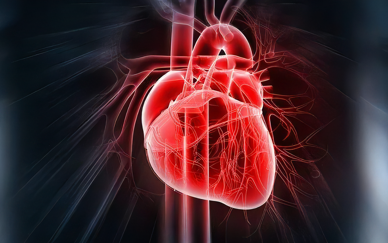 【Science子刊】新方法——恢复心脏弹性！