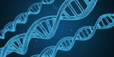 【Nature子刊】新技术——朝靶向性基因治疗又迈近了一步！