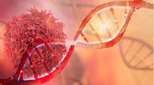 【AACR子刊】染色体内外DNA的变化，可能是黑色素瘤产生耐药性的驱动因素!