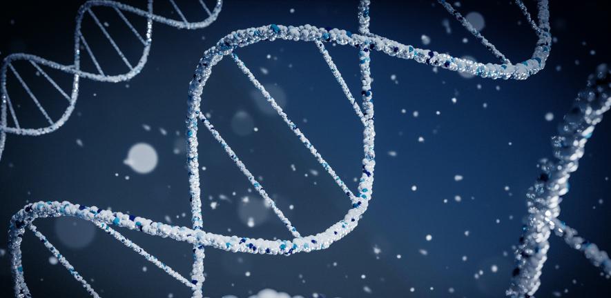 【Nature子刊】“黑暗基因组”：已经发现248000个不属于基因的DNA区域，提供了治疗靶点的新方向！