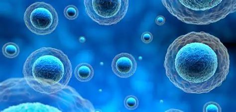 【Cell子刊】每个细胞每天遭受超10000个DNA损伤，研究开发新技术以支持可视化DNA修复！