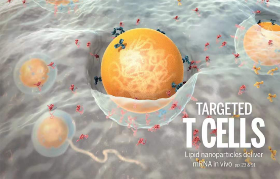 【Science】“CAR-T之父”Carl June及团队再创佳绩！体内注射一次mRNA,即可产生治疗心脏损伤的CAR-T细胞