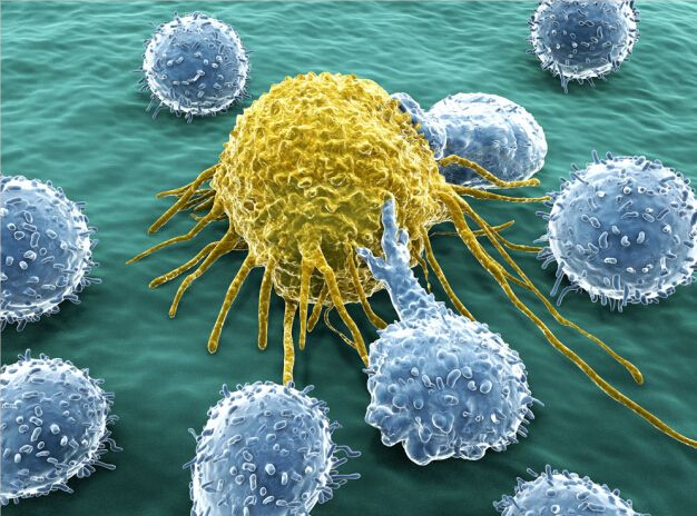 【Cell子刊】新发现！“双重人格”蛋白质，既是抵御癌症的“防火墙”，又是促进癌症的“推手”！