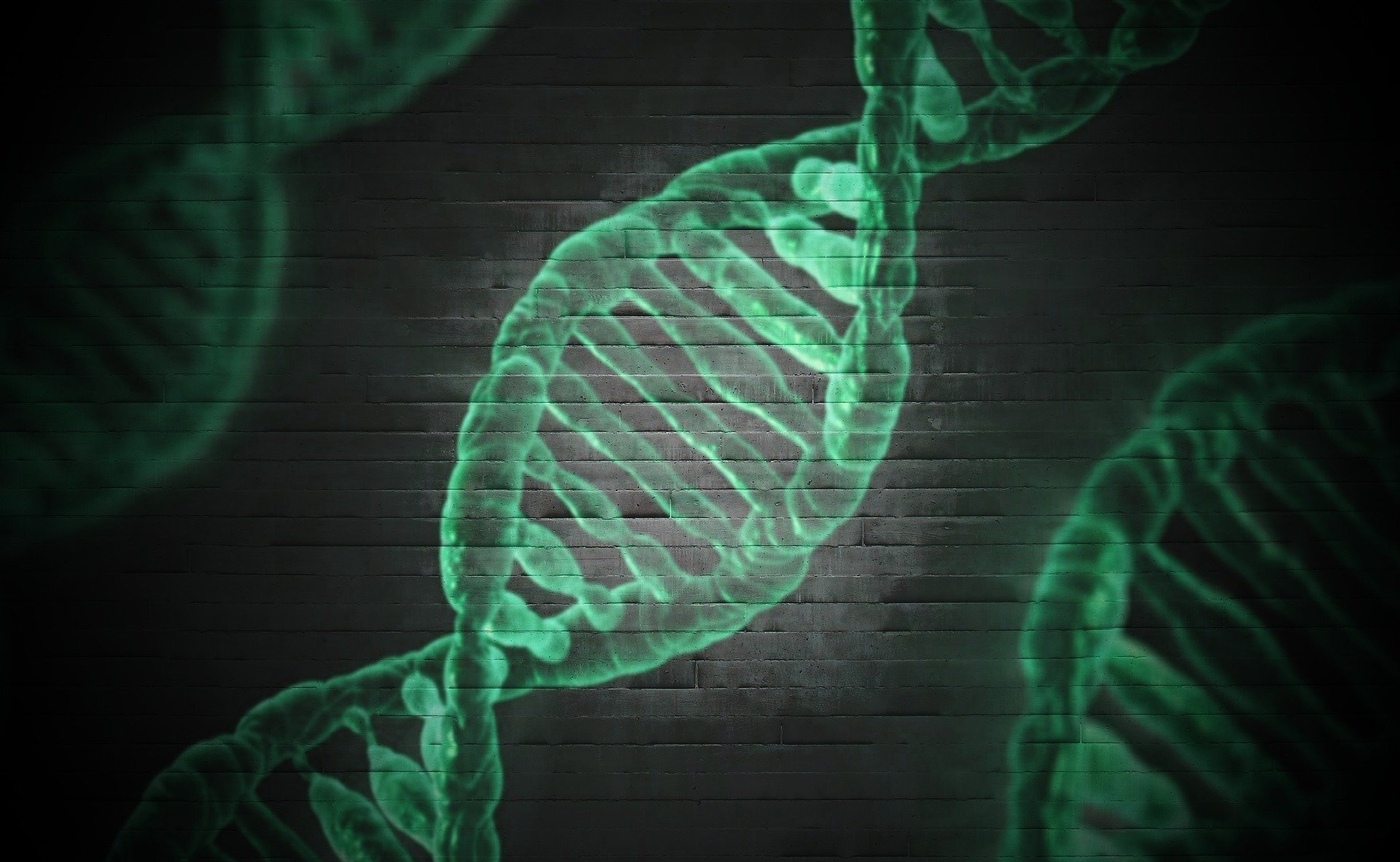 【Genome Res】发现与延长寿命相关的基因！