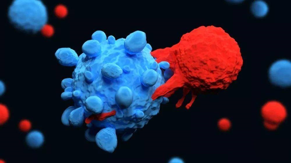 【Nature】CAR-T之父最新论文：CAR-T细胞疗法治愈癌症长达十年之久，至今无复发！