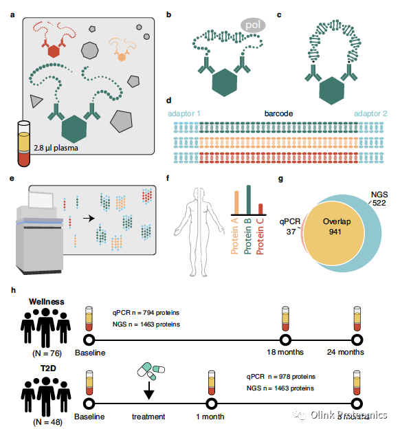 2月21日讲座｜Olink新一代血浆蛋白组学分析助力人类健康及疾病研究