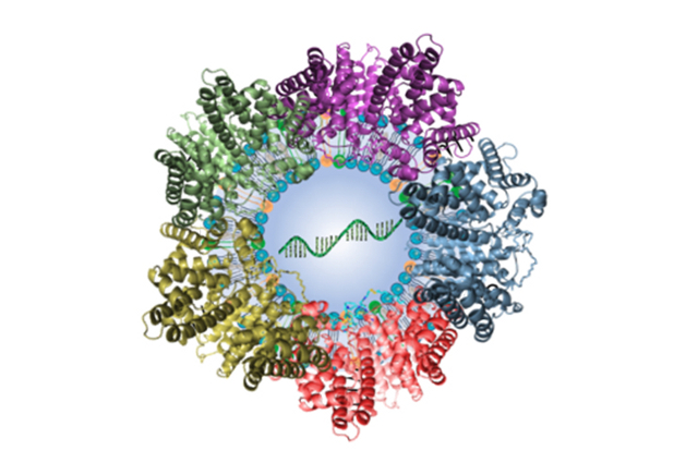 【PNAS】新进展！科学家利用脂质纳米颗粒将基因编辑精准地靶向肺部