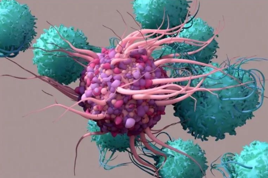 【Cell子刊】突破！发现免疫细胞重要信号通路，有望基于“细胞“治疗自身免疫性疾病