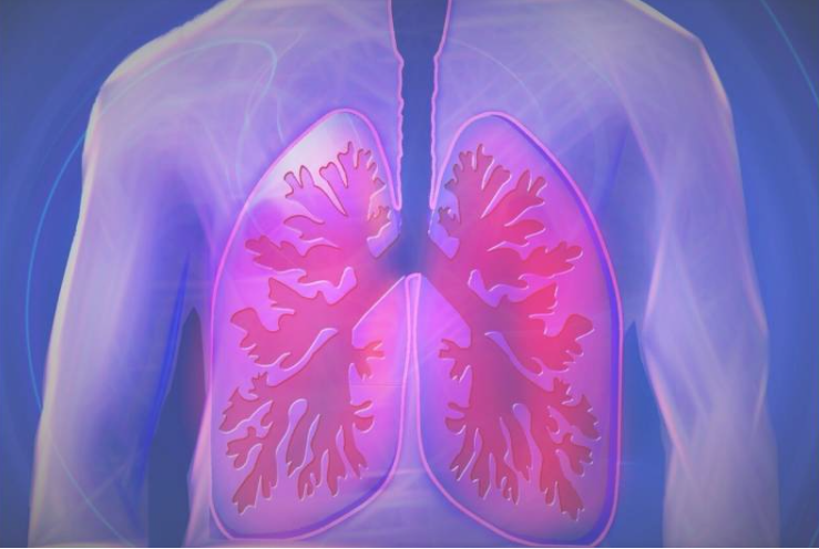【Science子刊】科学家的一项“意外发现”成功阻止“小细胞肺癌”进展！