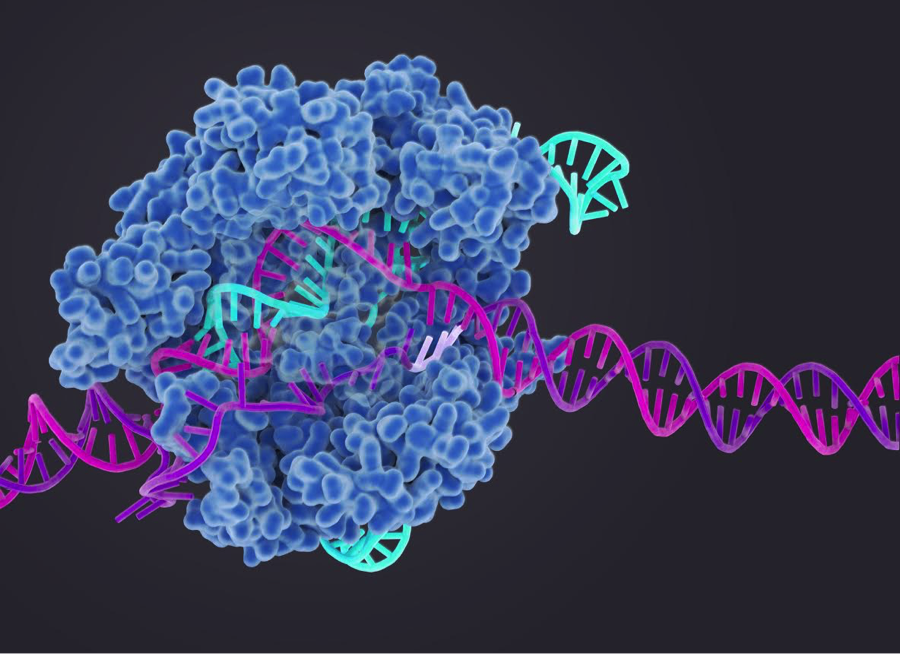 【Nature】重新设计Cas9蛋白，降低上千倍脱靶概率，基因编辑变得更加安全！