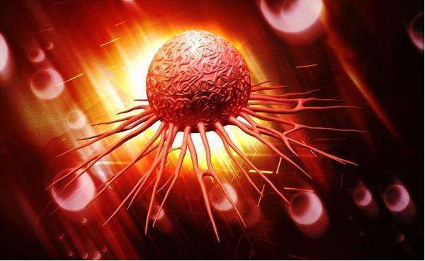 【AACR】科学家发现了一种能够杀死胰腺癌细胞的分子！“癌中之王”就这样被攻克了吗？