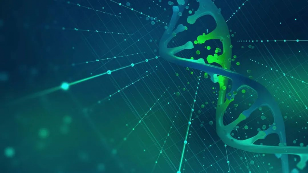 【Bioactive Materials】新方法将CRISPR基因编辑工具永久性整合到细胞基因组中，并提高工具的寿命和效率！