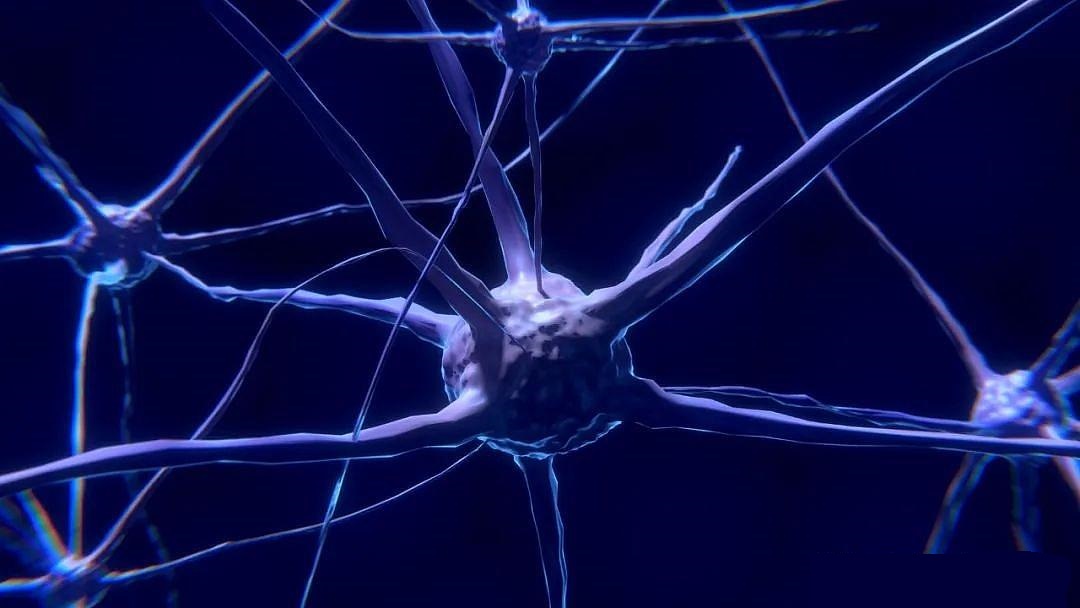 【Nature子刊】多组学整合分析——揭示阿尔兹海默症患者大脑中与蛋白质相关的新变化！