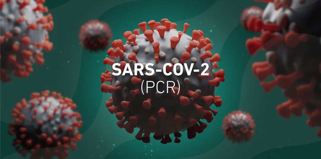 【JMD】突破！新PCR检测——不仅能诊断COVID-19，还能识别SARS-CoV-2变体！