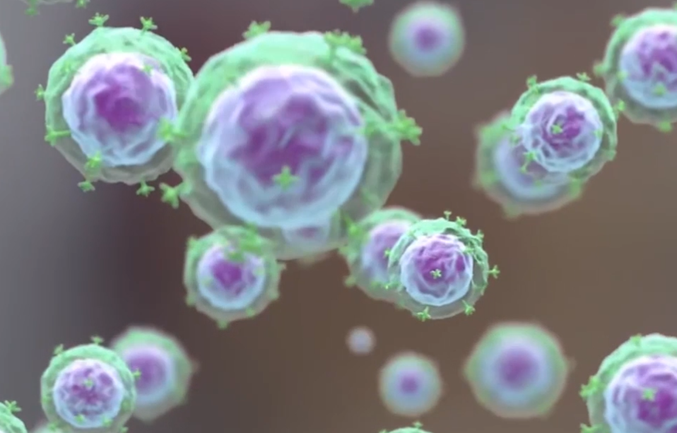 【Nature子刊】24小时生成CAR-T细胞，造福更多患者！