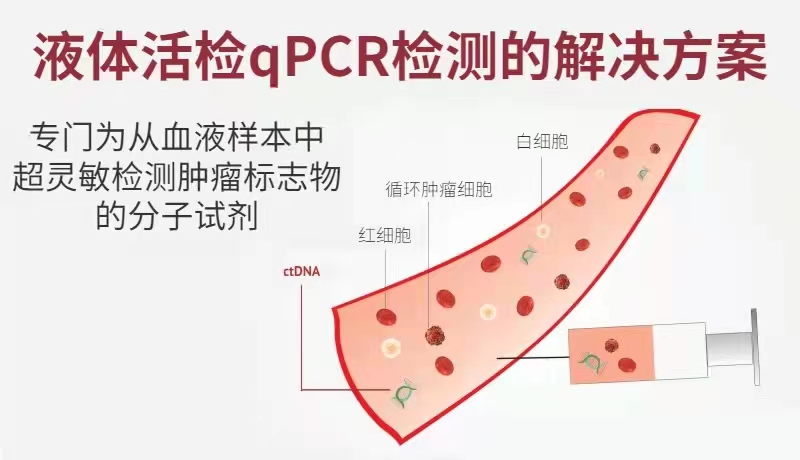 【直播】肿瘤诊断的革命-液体活检超灵敏的qPCR检测