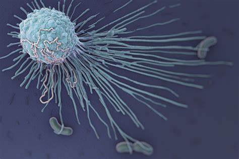 【Nature子刊】操纵巨噬细胞，抑制肿瘤生长！
