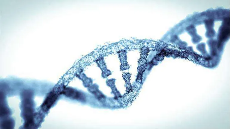 【Science】剑桥大学的研究人员发现了癌症新的突变特征！或可找到某些癌症的致命弱点
