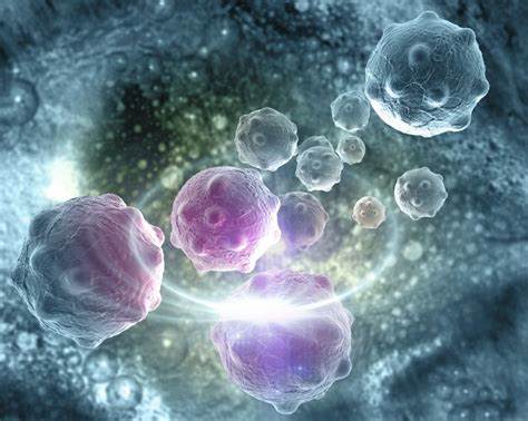 【Science】被T细胞攻击后，癌细胞靠“修复损伤”存活下来！