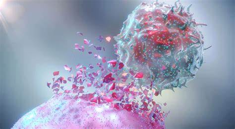 【Cell子刊】打破保护胰腺癌逃避免疫治疗的盾牌！