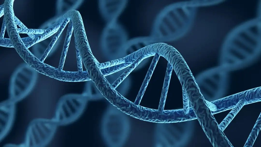 【Cancer Research】通过肿瘤的甲基化模式确定生物标志物，有助预测肿瘤免疫环境的类型和患者预后