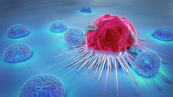 【Nature子刊】“特殊”的免疫细胞提供更好的肺癌生存率！