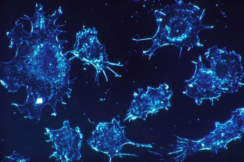 【Nature子刊】评估肿瘤特异性总mRNA水平可预测癌症结果！