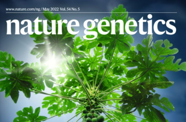 【Nature子刊】“垃圾DNA”并非垃圾？新发现——基因组“暗物质”中的突变与癌症联系起来的机制