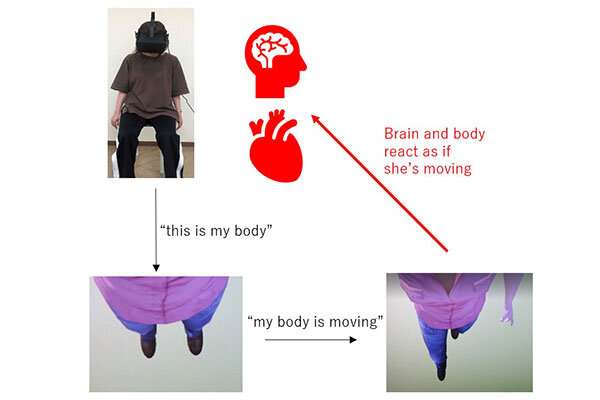 缓解焦虑的新方法——第一人称视角下的虚拟现实身体训练