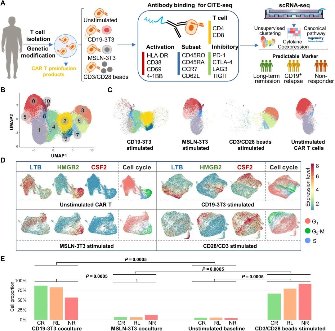 【Science子刊】单细胞多组学分析：覆盖CAR T治疗中所有临床反应类型——帮助找到预防治疗后复发的方法！
