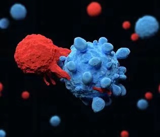 【Nature】将T细胞推入“记忆通道”有望改善癌症治疗！