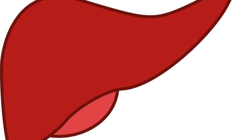 【PNAS】微流体血管化模型——精准分析肝脏再生关键因素