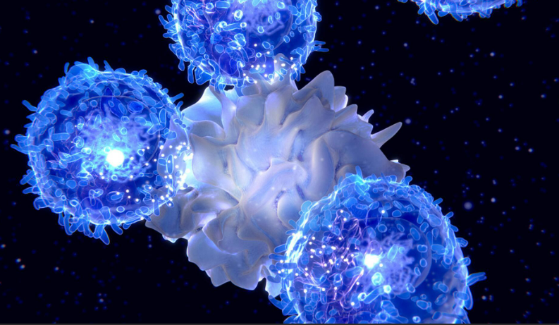 【Nature子刊】信号通路——助力免疫细胞打通治疗胰腺癌中的路障