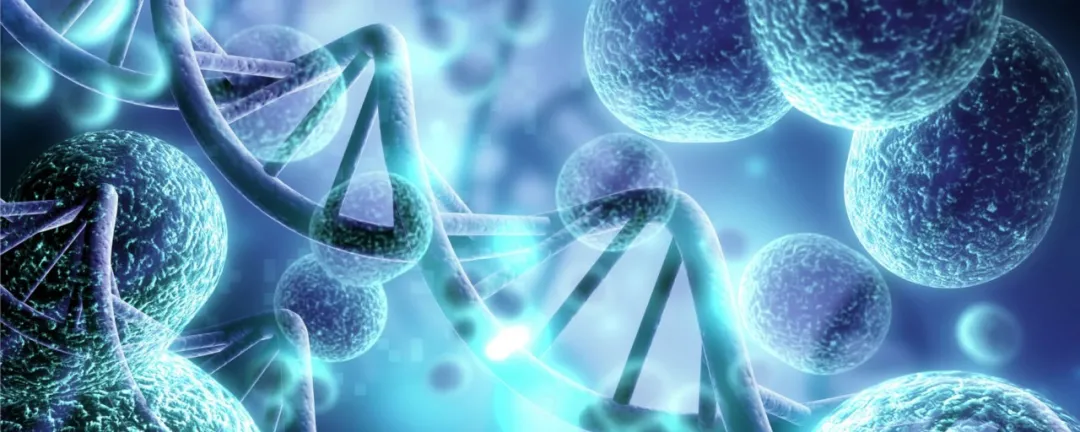  【Nature子刊】研究发现增加癌症突变可能性的遗传因素