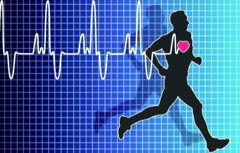 【柳叶刀子刊】上海交大研究团队发现运动衍生的肽可防止病理性心脏重塑！