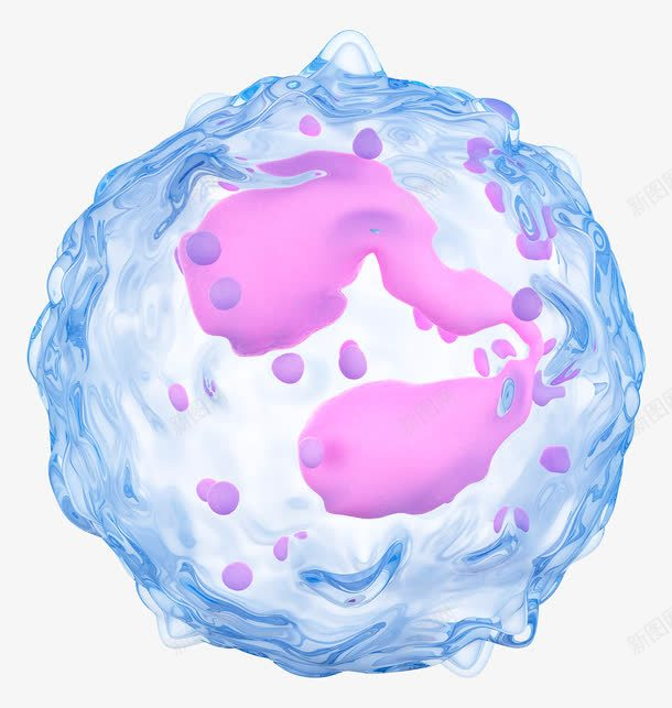 【Science】肠道白细胞是盟友还是帮凶？定论来了！