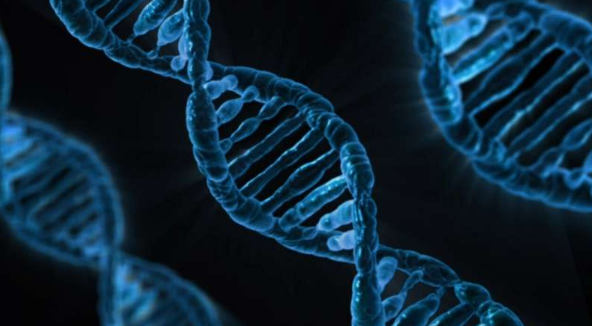 【Nature子刊】“垃圾”DNA会通过抑制DNA复制从而导致癌症！