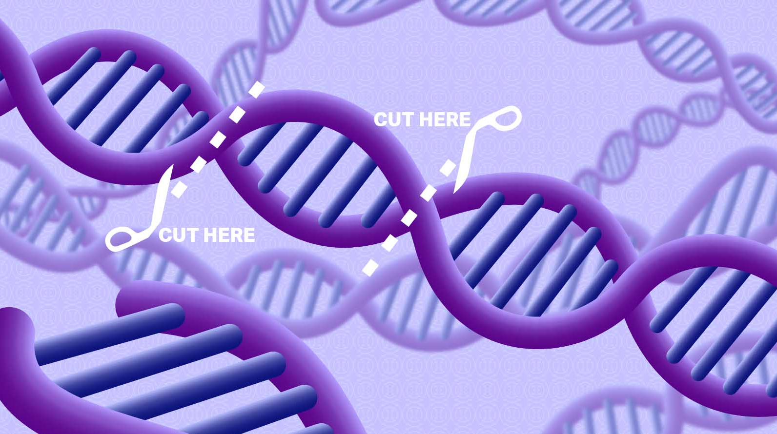 【Nature子刊】小心！CRISPR疗法弄丢大量的遗传物质