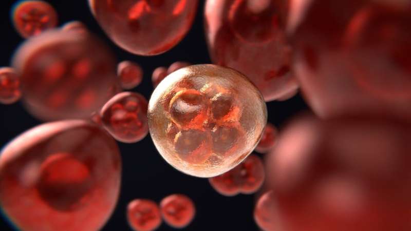 【PNAS】惊！小小分子竟可以防止肿瘤细胞扩散
